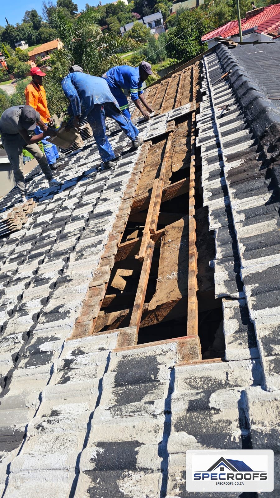 Specroofs team repairing a tiled residential roof